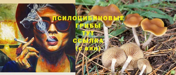 марки nbome Верхнеуральск