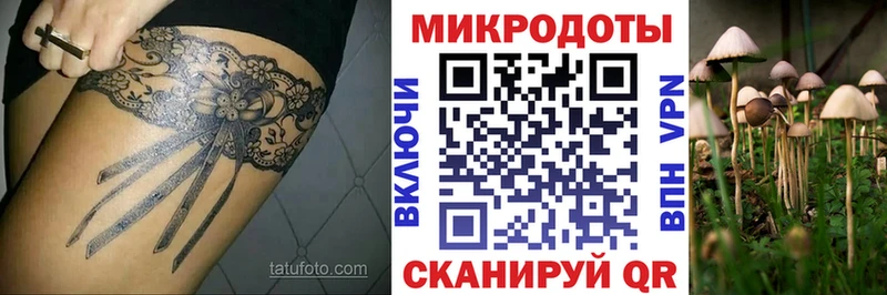 Псилоцибиновые грибы Cubensis  где купить   KRAKEN как войти  Касимов 